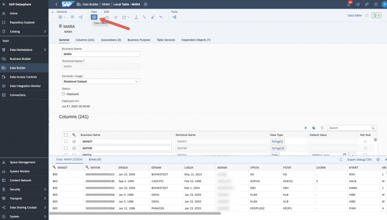 Replicating table data from an SAP ECC system with SAP Datasphere using ...